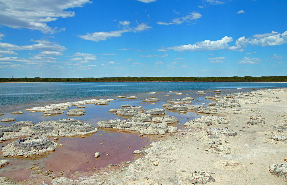 ..Lake Thetis 2..