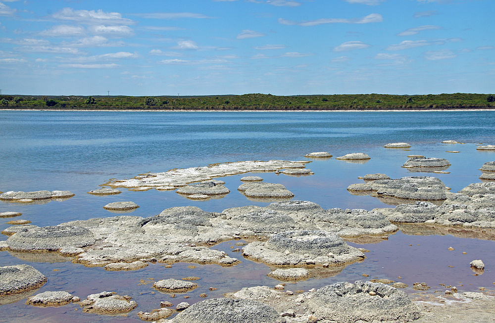 ..Lake Thetis 3..