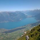 Lake Thun