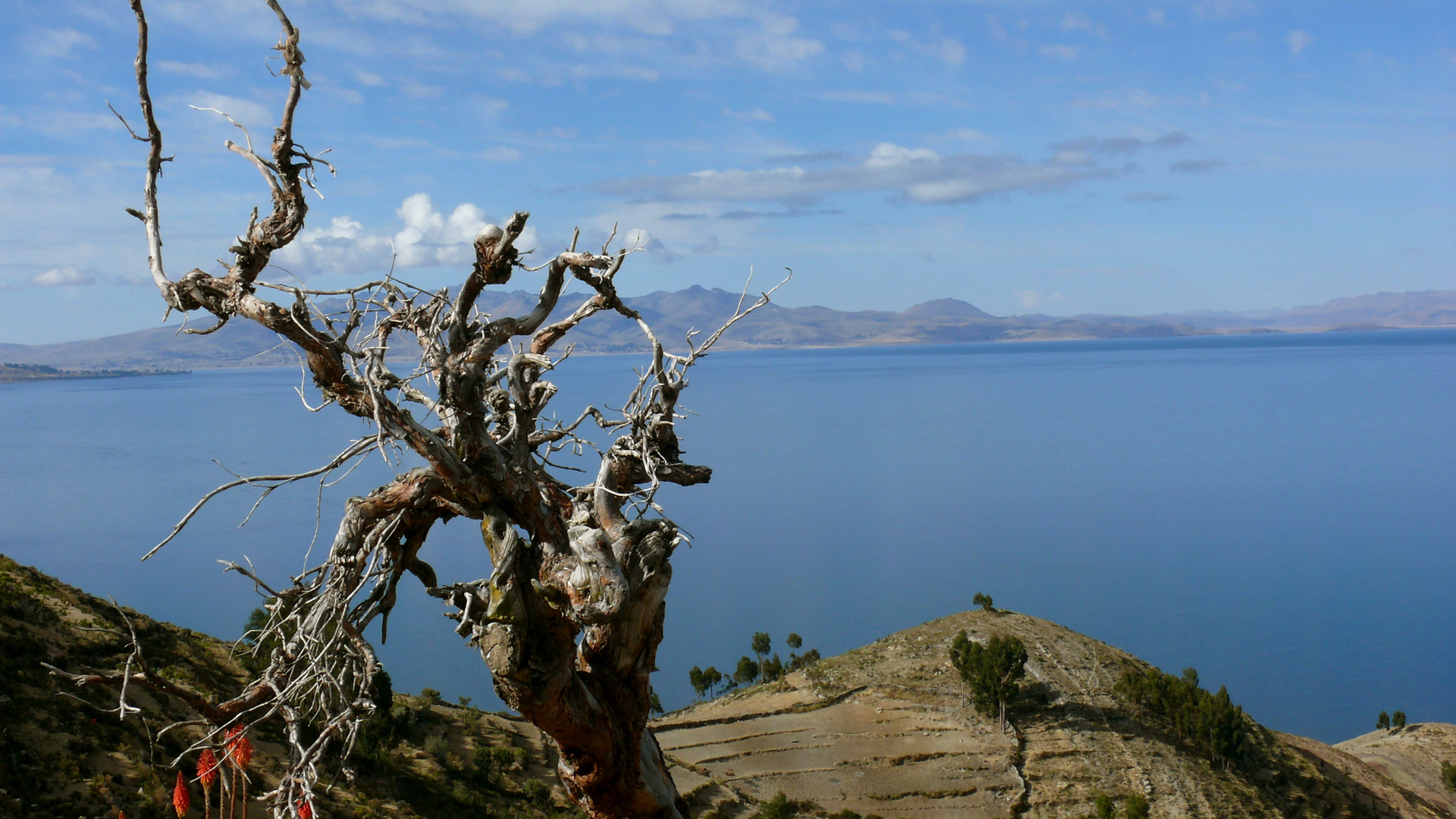 Lake Titicaca