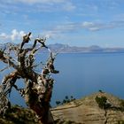 Lake Titicaca