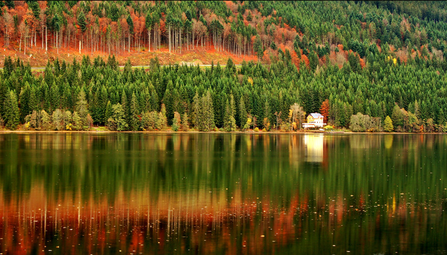 lake titisee