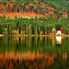 lake titisee