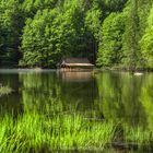 Lake Toplitz (German: Toplitzsee)