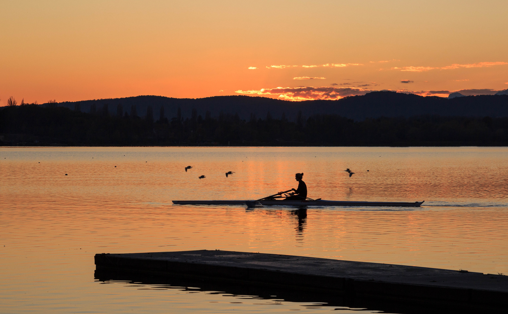 Lake travelers 