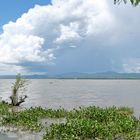 Lake Victoria - Kenya