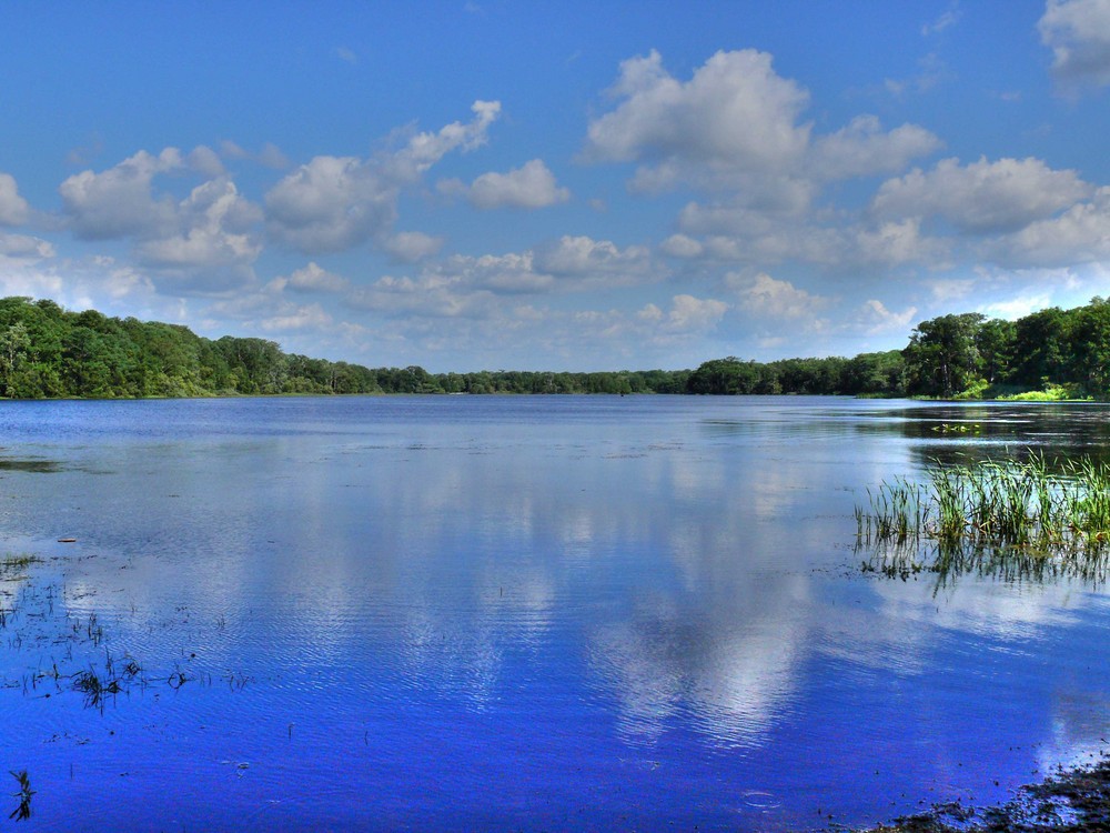 Lake view