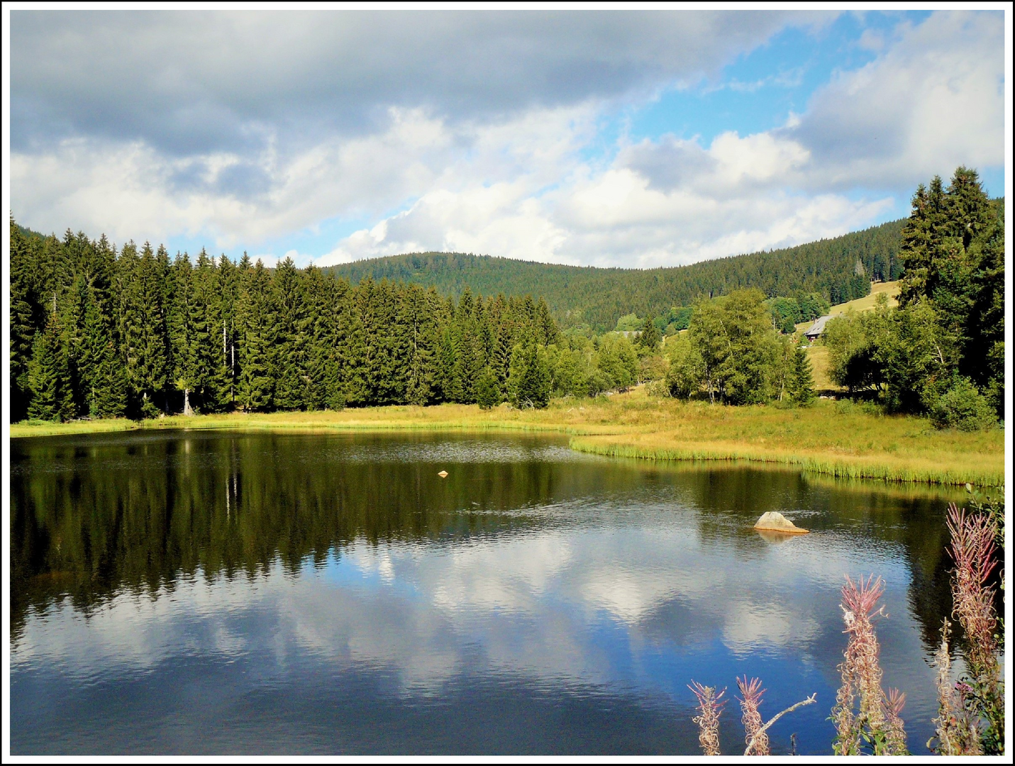 Lake View