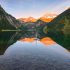 Lake Vilsalpsee splash