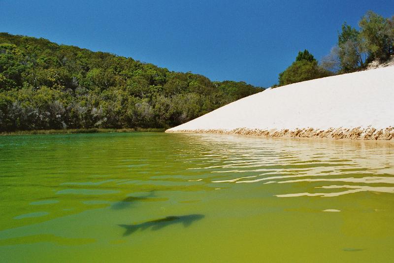 Lake Wabby Foto & Bild australia & oceania, australia, world Bilder