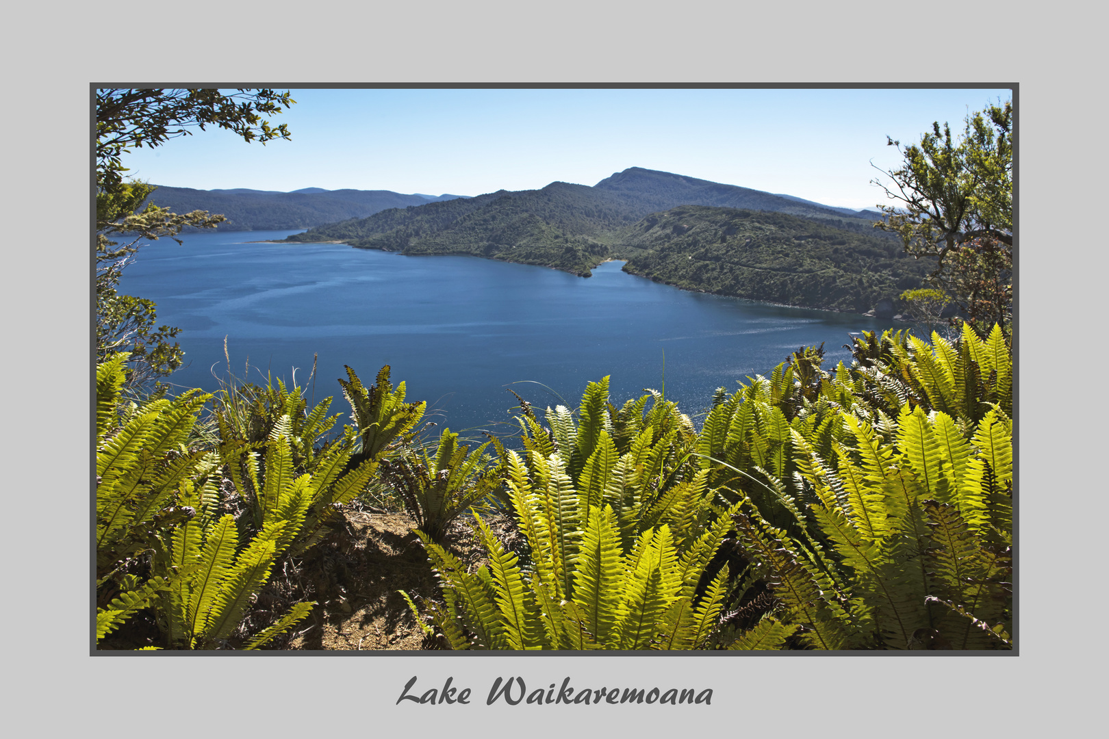 Lake Waikaremoana 1