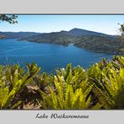 Lake Waikaremoana 1