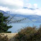 Lake Wakatipu!