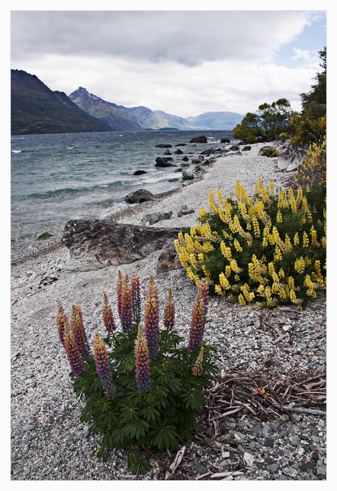 Lake Wakatipu - Queenstown, Neuseeland