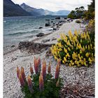 Lake Wakatipu - Queenstown, Neuseeland