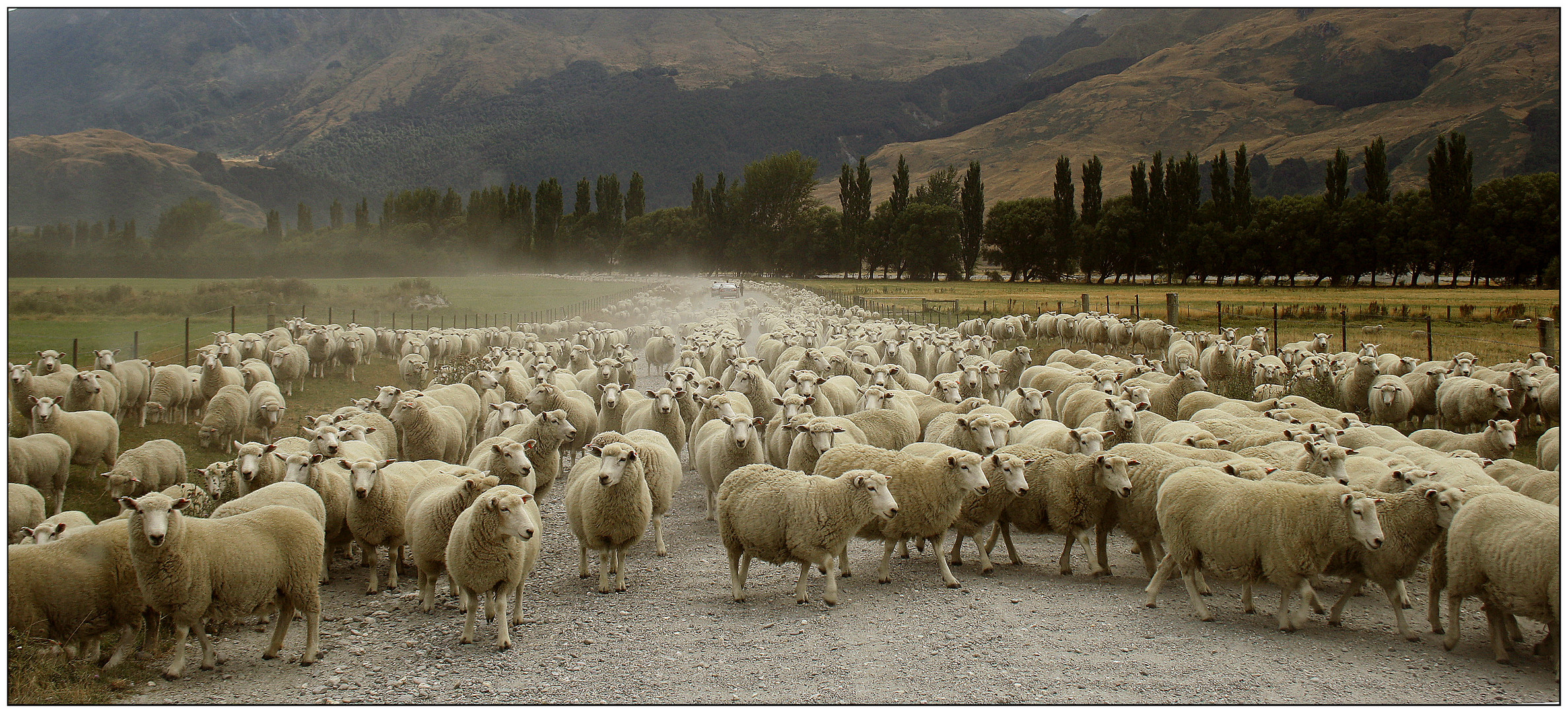 Lake Wanaka # 07