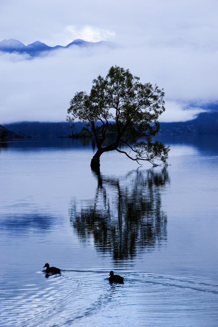 Lake Wanaka