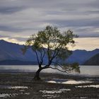 Lake Wanaka