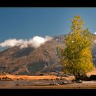 Lake Wanaka