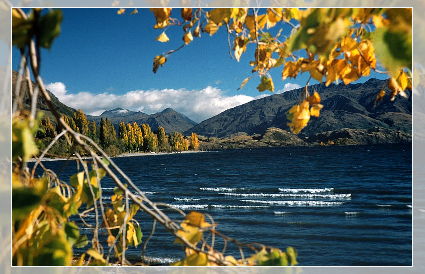 Lake Wanaka