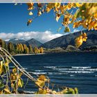 Lake Wanaka