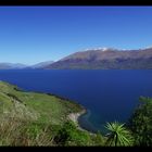 Lake Wanaka