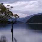 Lake Wanaka