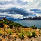 Lake Wanaka - Impressionen