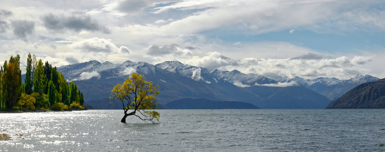 Lake Wanaka * Sight