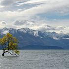 Lake Wanaka * Sight