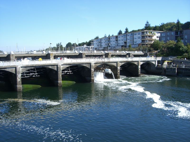 Lake Washington Ship Canal