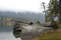 Lake Wenatchee, US Bundesstaat Washington (2)