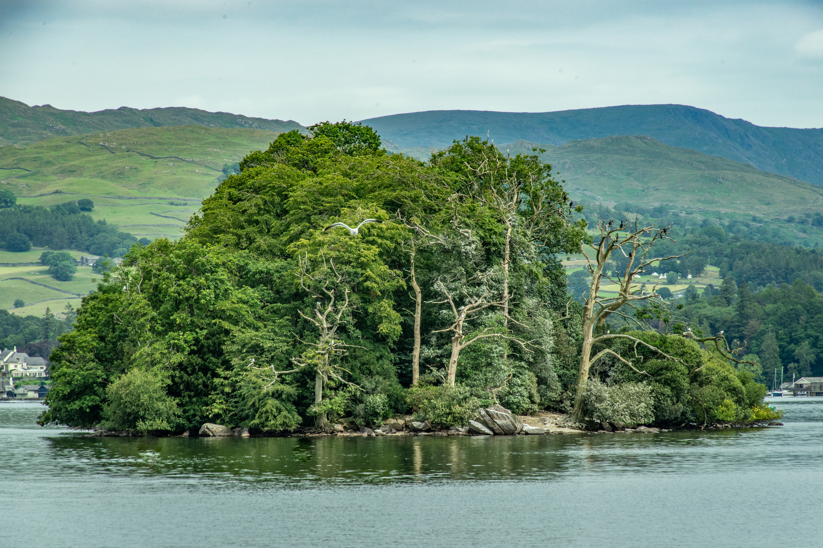 Lake Windermere I - England