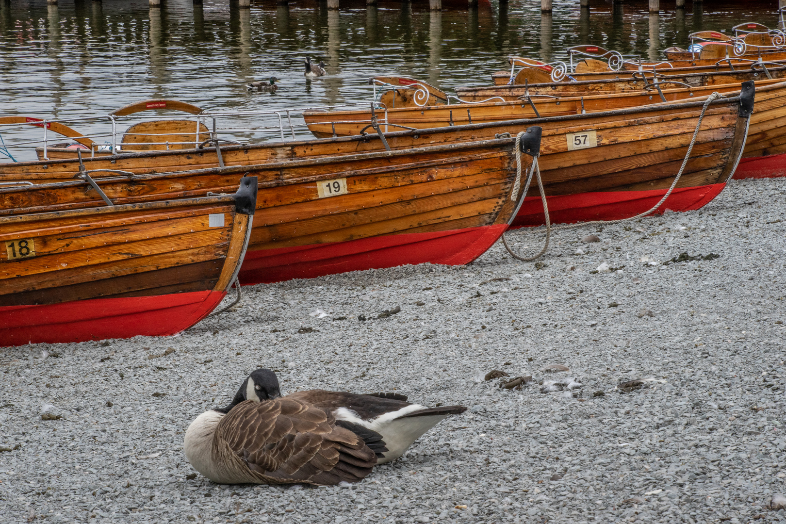 Lake Windermere III - England