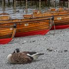 Lake Windermere III - England