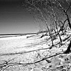 lake winnipeg