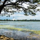 Lake with Dagoba