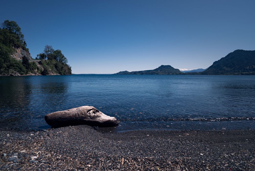 Lake with wood