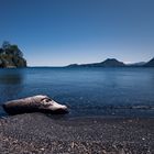 Lake with wood