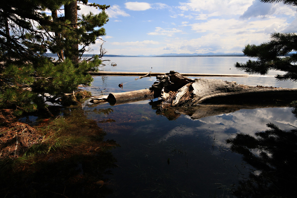 Lake Yellowstone