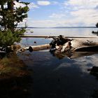 Lake Yellowstone