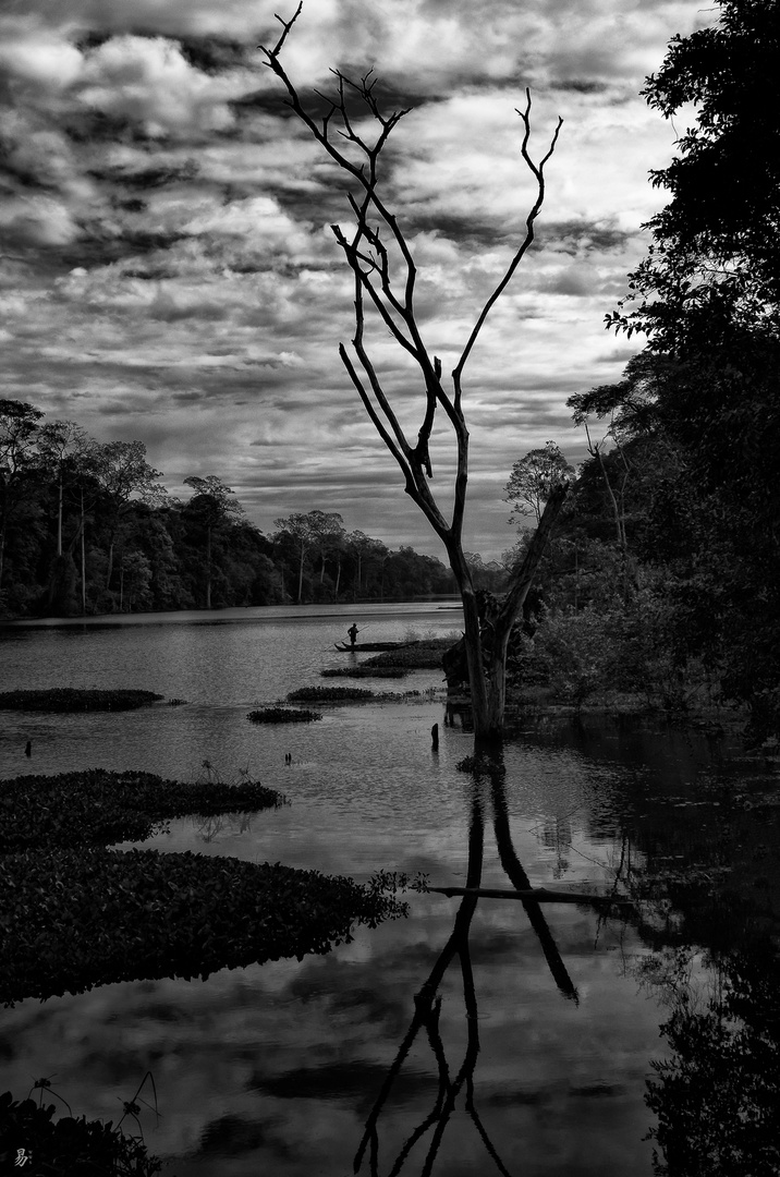 lake.fishing