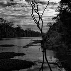 lake.fishing