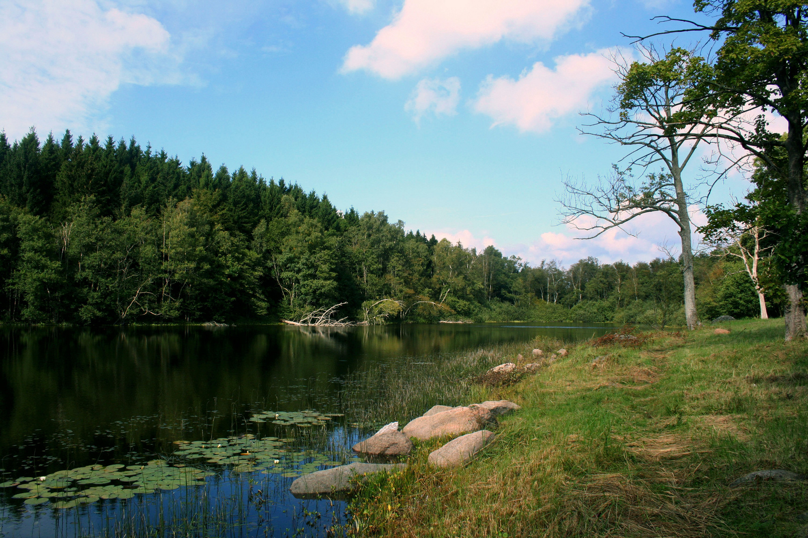 'Lakeland' - Bornholm - 2015