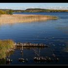 Lakeland_Finnland_im_September