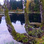 Lakenhausteich im Solling