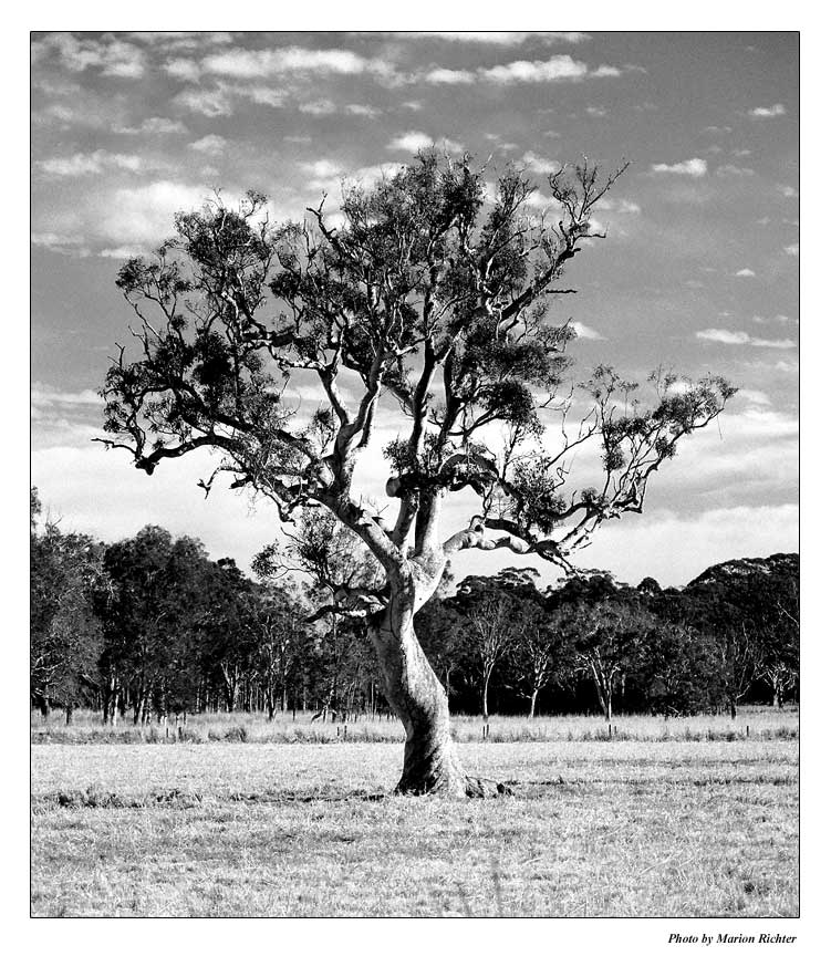 Lakes Entrance