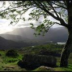 Lakes of Killarny