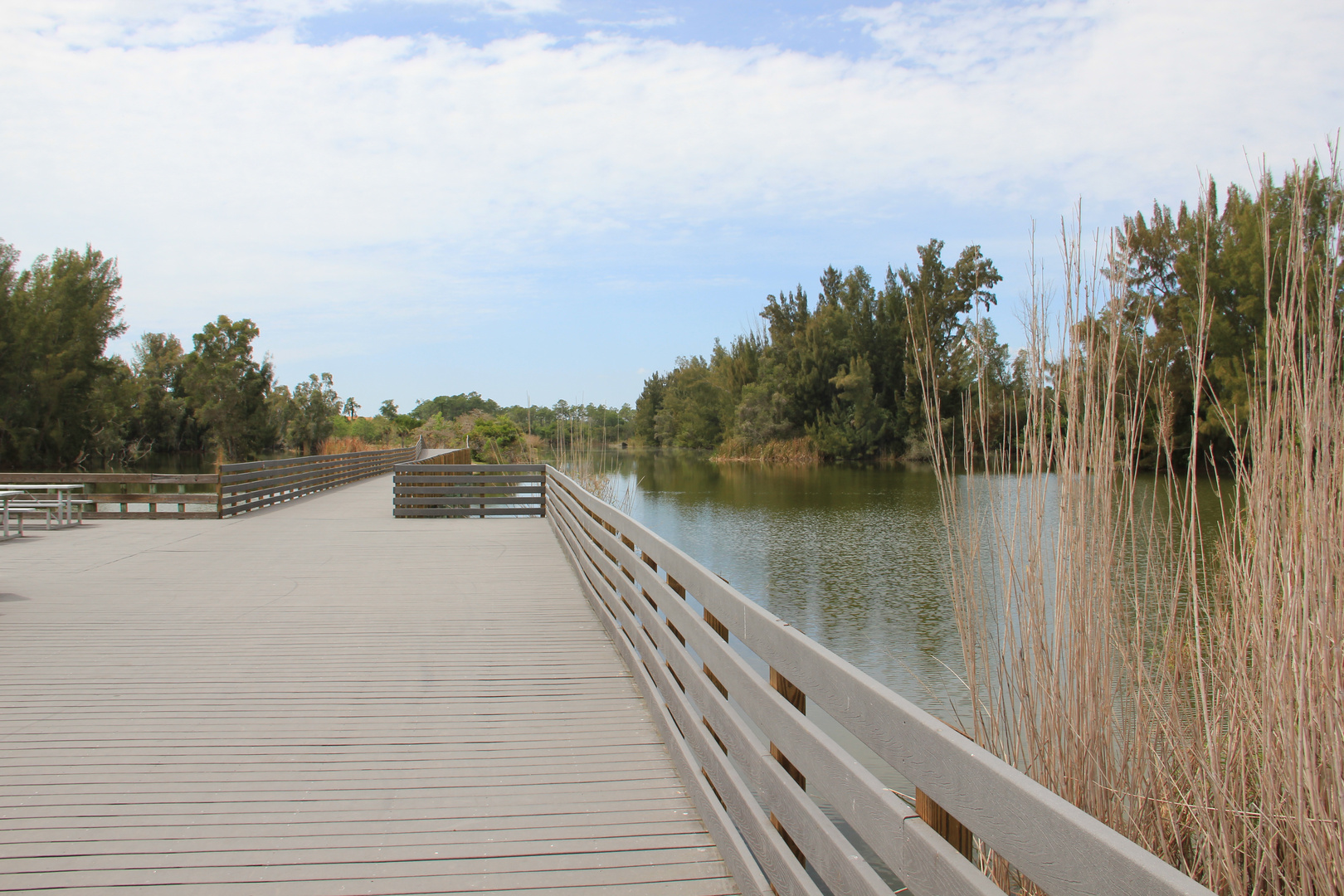 Lakes Regional Park - Fort Myers (USA, FL)