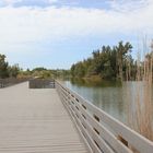 Lakes Regional Park - Fort Myers (USA, FL)